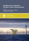 Cover image for Enabling Secure Subsurface Storage in Future Energy Systems