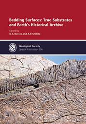 Image: book cover - Bedding Surfaces: True Substrates and Earth's Historical Archive